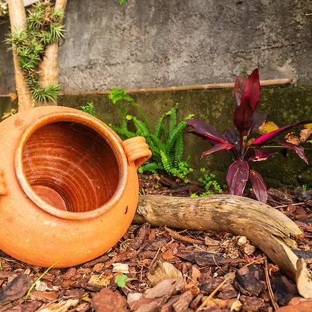 Casa Branca, In The Heart Of * Arco da Calheta