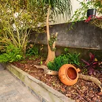 Apartamento Casa Branca, In The Heart Of Arco da Calheta (Madeira)