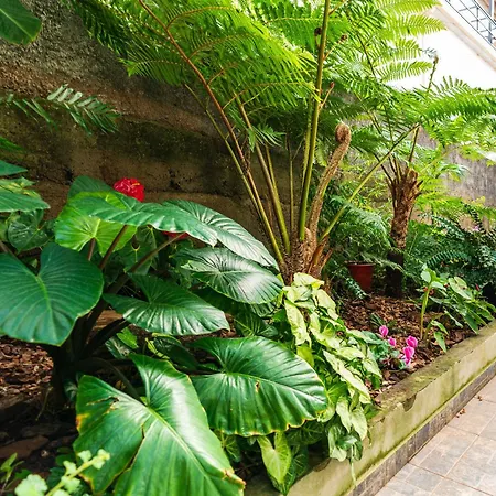 아파트 Casa Branca, In The Heart Of