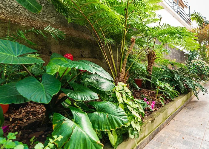 Daire Casa Branca, In The Heart Of