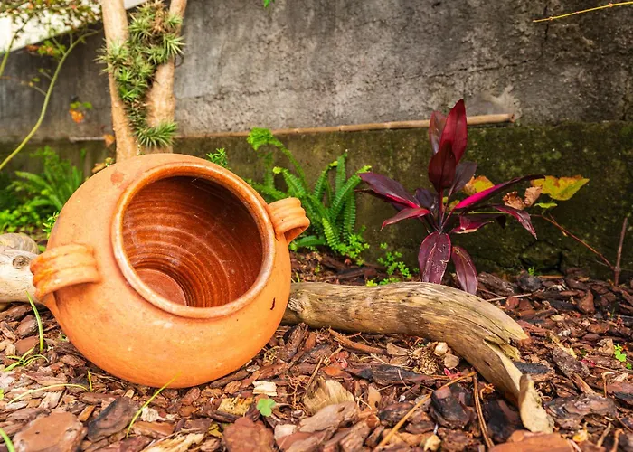 Casa Branca, In The Heart Of * Arco da Calheta (Madeira)